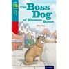 Rita Ray Oxford Reading Tree TreeTops Fiction: Level 9 More Pack A: (Tascabile)
