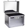 Imperial Riding Putzbox IRHShiny Putzkiste Argento
