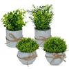 Relaxdays Set 4 Piante Finte Interno, Piantine Artificiali Realistiche di Erba, Rosmarino, Bosso in Vaso, Verde Grigio