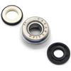 DCYURDSZX Kit paraolio pompa acqua moto for Hnd SH300 ABS NSS250 Forza 250 MF10 NSS300/A 300 OEM:91202-KTW-901 19217-MAL-300