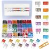 CGEAMDY 250 Pezzi Set Fusibile Assortito per Auto, Kit Fusibili Standard Mini a Lama per Barche Moto Automobili