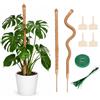 Carehabi 2 x 60 cm Monstera, traliccio in fibra di cocco con accessori, supporto per piante rampicanti Monstera, per interni