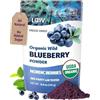 LOOV Polvere di mirtillo selvatico biologico, raccolto nelle foreste nordiche, 100% frutto intero (mirtillo), liofilizzato e ridotto in polvere, senza zuccheri aggiunti, 250 g (52 giorni)