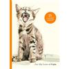 Laurence King Publishing For the Love of Cats: 25 Postcards