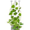 Generico Traliccio Per Piante Rampicanti | Supporto In Metallo Resistente Alle Intemperie 68,5 x 30,5 cm,Traliccio Per Piante Rampicanti Da Esterno - Per Casa Aiuola Rialzata Fioriere Fiori Verdure Pomodori Ce