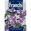Franchi Sementi Semi Malva Sylvestris Fiori Franchi Sementi 0,5g