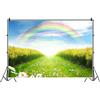 Bovlleetd 250x180cm Arcobaleno Natura Sfondo Primavera Verde Campi Paesaggio Margherita Floreale Fotografia Sfondo Neonato Bambino Adulti Ritratto Foto Studio Oggetti di Scena Vinile