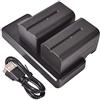 DSTE (2 Pack) NP-F750 Rechargeable Li-ion Battery + Fast Charging Dual LCD Charger Compatible for NP-F770,NP-F730 and Sony CCD-SC5 CCD-TR76 CCD-TRV93 HDR-FX1 CCD-TRV95 HVR-Z1U CCD-TR716 CCD-TRV91