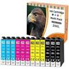 Starlet24 12x 29XL Cartucce per Epson 29XL 29 XL Multipack per Epson XP-342 XP-332 XP-345 XP-352 XP-442 XP-445 XP-455 XP-432 XP-245 XP-452 XP-235 XP-435 XP-335 XP-35