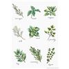 LUCAS Luca-S Kit punto croce, cotone, multicolore, 21,5 x 30,5cm