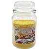 Amazzonia Candle Bamboo & White tea 530 Gr Candela Profumata Naturale in Cera di Soia doppio stoppino in cotone Profumatore per Ambiente bamboo te bianco Decorativa Giara in Vetro