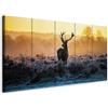 murando Quadro Cervo 200x80 cm 5 pezzi Stampa su tela XXL Immagini moderni Murale Fotografia Grafica Decorazione da parete Natura Animale Paesaggio g-B-0047-b-n