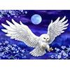 AIRDEA 5D Gufo Diamond Painting Kit Completo per Adulti,Pittura Diamante Fai Da Te,Chiaro di Luna Diamante Painting per Bambini,l'arte del Diamante Rotondo,Pittura Diamante per Casa Decor 30x40cm