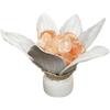 Fantasy Bazar Lampada foglia di cocco con sale himalayano tipo braciere