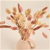 Meine Orangerie - Set di fiori secchi - 43 steli - bouquet di fiori secchi - decorazione elegante e naturale - decorazione da tavolo - fiori secchi matrimonio