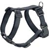 HUNTER Stoviglie London Vario Rapid | antracite | taglia Mini 18-30/XXS | regolabile in 4 posizioni | con chiusura di sicurezza | morbido e flessibile | antistrappo e ad asciugatura rapida | leggero e