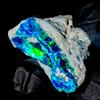 OPAL EMPIRE Ethiopian Natural Fire Opal Grezzo Nero 10,75 Ct 20x17 mm (1 Pezzo)