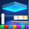 RDGOOD 24W Plafoniera LED RGB dimmerabile con telecomando, RGB lampada da soffitto 2400LM con cambio colore, 3000K-6500K, luce per soggiorno, camera da letto, cameretta, cucina, quadrato 28x28cm