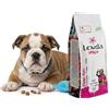 Lenda Urban First Bites 2 kg Puppy - Crocchette Naturali per Cani Cucciolo Mini e Medium - Cibo Completo ed Equilibrato con Condroprotettori e Vitamine - Crocantini Ricco di Omega 3