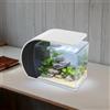 HINOPY Acquario moderno Nano Acquario da 19 l, 3,2 W, con 4 colori di illuminazione a LED, silenzioso da tavolo con pompa, filtraggio e ossigenazione e circolazione, altezza max: 0,6 m, Q.max: 200 l/h