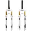JIASHUNHE Forcella MTB 1 PCS Mountain Bike Forcella Ad Aria Spina di Sospensione in Lega Magnesio 26 27.5 29 Pollici 120-120 MM(Shoulder Control)
