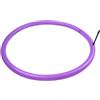 Caswynlife Camera d'aria per bicicletta ultraleggera 20 pollici 406 per pneumatici 20X1.0-1.75, 23G leggero Road Mtb tubo con valvola Fv45/65mm, viola (FV65 2PCS)
