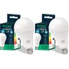 V-TAC VT-233 Lampadina LED A80 con Attacco Edison E27, 20 W (Equivalenti a 150 W), 2452 Lumen, 220-240 V, 50 Hz, Luce 3000K Bianca Calda, 80 x 155 mm (Confezione da 2)