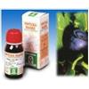 Specchiasol Mirtillo 31 Tintura Madre 50 ml