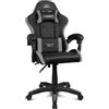 DRIFT GAMING DR35 - Sedia Gaming Ergonomica Professionale con Braccioli 2D Regolabili, Supporto Lombare e Cervicale, Reclinabile a 135°, Rivestimento in Pelle Sintetica, Ruote Silenziose, Nero-Grigio
