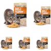 Flamingo Snack Deli Yumm - Pasta con Pollo e Formaggio, 70 g - Ideale per Persiano, Maine Coon, Siamese, Ragdoll ecc. (Confezione da 5)