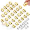 BTFO 30pz Mini Luci LED, a Batteria Luci LED Miniatura con 15 Batterie di Ricambio Extra per Lavori Fai Da Te e Decorazioni Creative (Bianco Caldo e Bianco Freddo)
