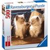 Ravensburger 15220 Puzzle Quadrato Gatti Himalayani, 500 Pezzi