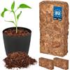 KOTARBAU® Terriccio di cocco naturale e senza torba per piante e terrari 2 x 500 g - 10 L Terriccio in fibra di cocco