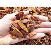 Geosism & Nature Corteccia di larice rossa portoghese 10/20 mm (5 kg - c.ca 25 lt)