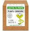 Garden Pocket - Fai Crescere la Tua PIANTA Carnivore Venus DIONAENA - Kit di germinazione