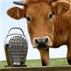 ALESSI CHEESE PLEASE GRATTUGIA FORMAGGIO INOX CHB02