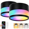 URing 2x Faretti da Soffitto LED RGB Dimmerabile, IP65 Plafoniere Faretti led soffitto con telecomando APP, Plafoniera da soffitto 12W Nero 2700K-6500K, Piatto,Alluminio,230V,Rotonda,luce da bagno,Ø10,9cm
