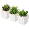 Oairse Serie di vasi succulenti artificiali Piante grasse finte in vaso di ceramica Set di 3 piante artificiali succulente in vaso mini per mensola del bagno Cucina Patio