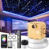 SUNKENET Meteor 32W Twinkle RGBW Fibra Ottica, APP Bluetooth/Remote/Controllo Musica Kit di Plafoniere Star, 1000pcs*0.75mm*4m Kit di luci Shooting Star per Auto/Casa/Teatro