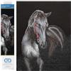 DIAMOND DOTZ DD10 - Kit intermedio, stallone mezzanotte, 53 x 42 cm