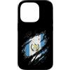 Guatemala Flag Art Custodia per iPhone 14 Pro Bandiera del Guatemala Look Vintage Emblema Nazionale