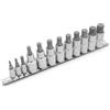 DAKCOS Set di 12 chiavi a bussola con punte a denti multipli XZN, M4-M18 | dadi per CR-V, punta per S2