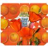 UNIVERSAL MUSIC GROUP That Lucky Old Sun - Mini Lp Sleeve