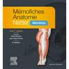 Elsevier Masson Mémofiches Anatomie Netter: Membres