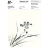 The Pepin Press A5 WP Japanese Art