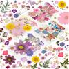 Tastetreasure Set di 204 foglie e fiori secchi veri e naturali per stampi in resina, produzione di candele, nail art, saponi fai da te e custodie per cellulari, confezione sottovuoto, non commestibile