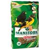 Generico SPINUS EXTRA FANCY MANITOBA | alimento completo per uccelli, ricercato ed esclusivo miscuglio per tutti gli Spinus, 1 confezione da 2,5kg.
