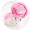 Générique Grande Pallone Da Esercizio Per Criceto, Trasparente, Silenzioso, Sicuro, Per Corsa - Criceto Siriano E Piccoli Animali | Sfera Da Corsa Del Criceto Chiara | Palla Di Attività Portatile Pours Animale