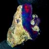 OPAL EMPIRE Opale Nero Grezzo Naturale Ethiopian 9,5 Ct 19x12 mm