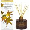 L'Erbolario Ambraliquida Fragranza Per Legni Profumati 125 ML